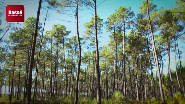 vimeo placeholder image